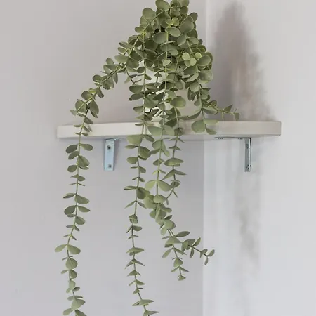 Cozy Апартаменты *